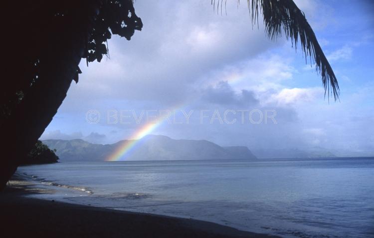 Islands;Fiji;palm trees;blue sky;blue water;sand